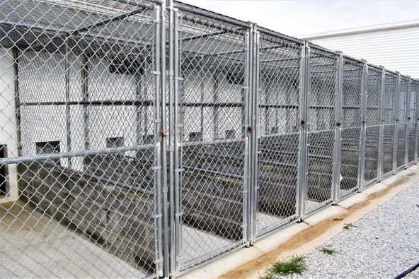 Bed & Biscuit: 153 Fence Ln, Crossville, TN 38571
